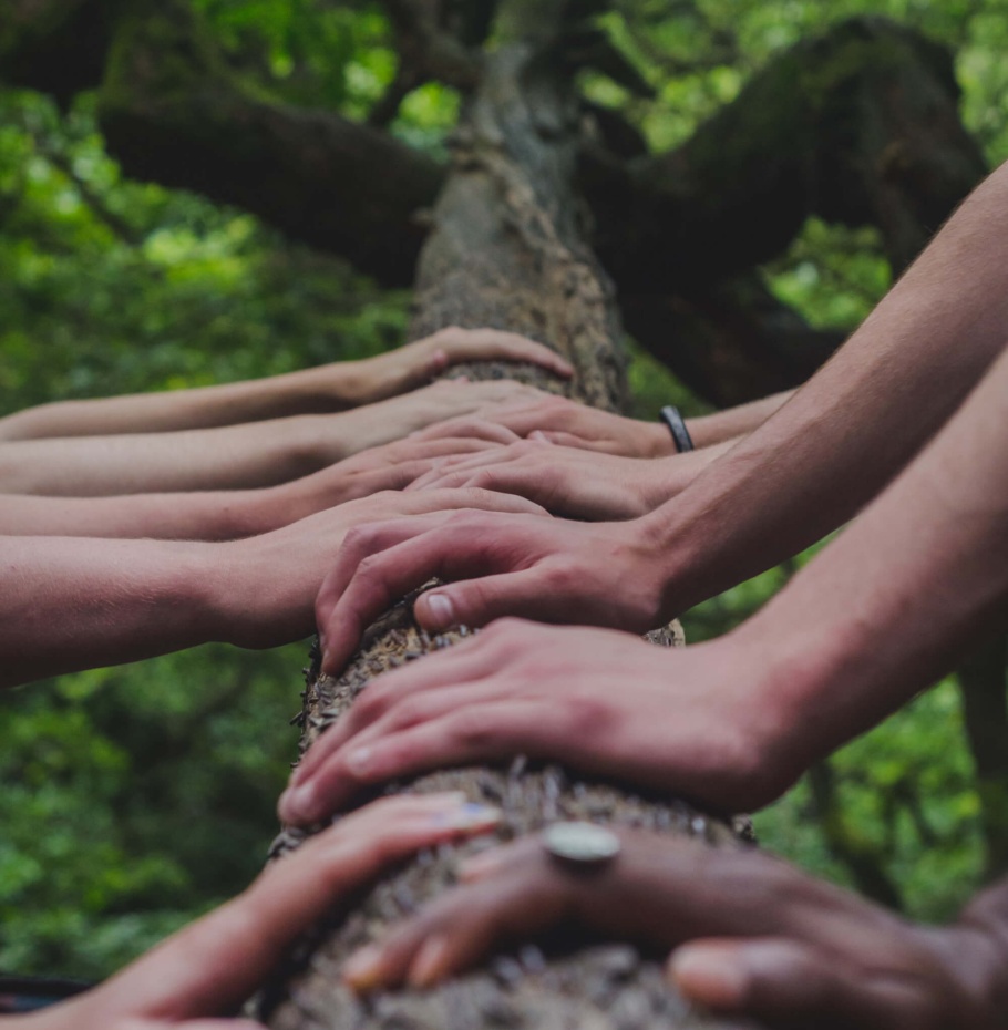 Optimiser la réussite individuelle et collective
